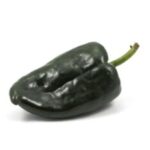 CHILE POBLANO