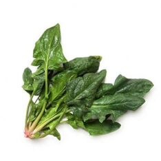 ESPINACA C/ RAIZ