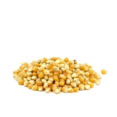 MAIZ PALOMERO